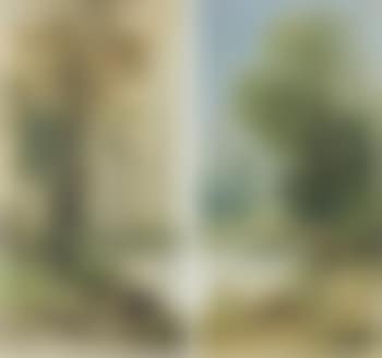 Coppia di paesaggi (preview)