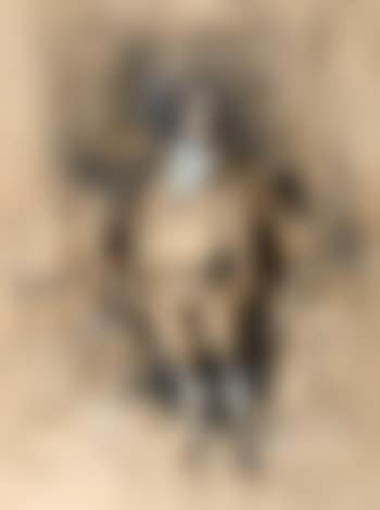 Le courtisan (preview)