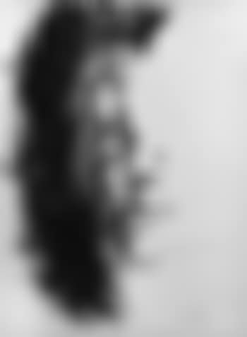 Volto (preview)