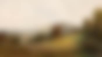 River landscapes with sheep grazing (preview)