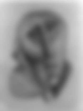 Volto (preview)
