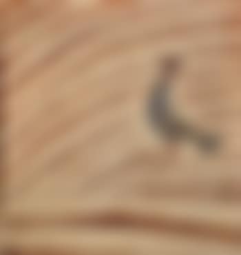 Un oiseau dans un décor feuilagé (preview)
