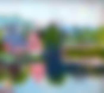 Daly's Bridge, Sunday's Well, Cork (preview)