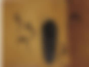 Particolare per una camera d'artista (preview)