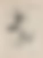 Composition 51 (preview)
