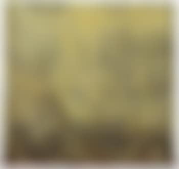 Senza titolo (preview)