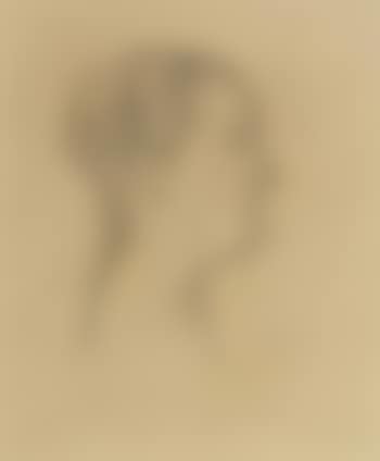 Profil eines Mannes (preview)
