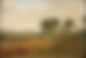 Paysage (preview)