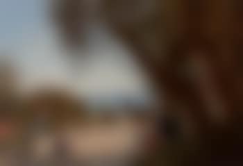 Sur la terrasse (preview)