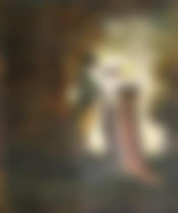 Singe savant au miroir (preview)