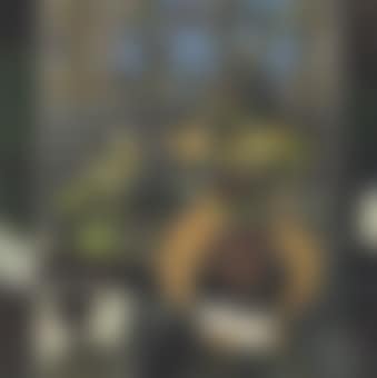 La Treille (preview)