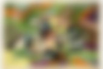 Il ciclista (preview)