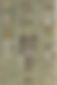 Moths: Three hundred and seventy-four moths, in eleven columns, belonging to a wide variety of families (preview)
