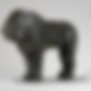 Lion De Nubie (preview)
