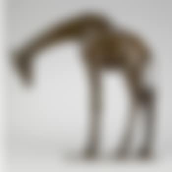 Grand Girafe Tête Basse (preview)