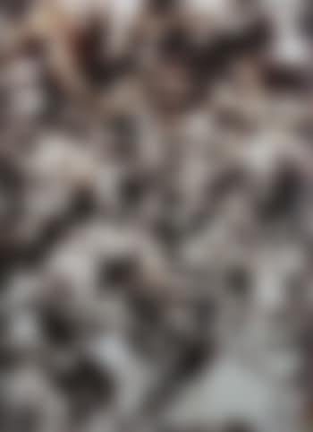 Orchestra from Pictures of Chocolate (preview)