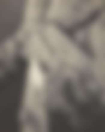 Woman's Handbag (preview)