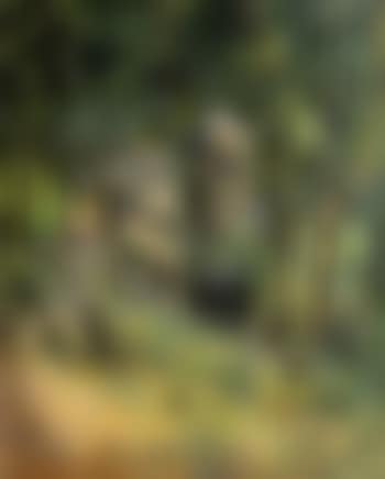 Sous bois (preview)