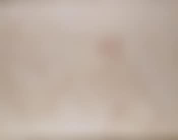 Le bain (preview)