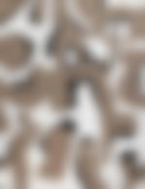 Cuciti dal vento (preview)