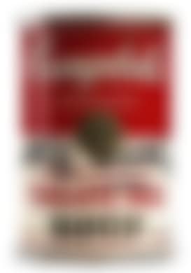 Campbell‘s Tomato Rice Soup Can (preview)