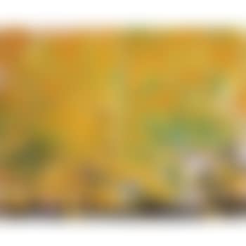 Two Sunflowers (preview)