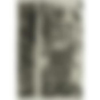 Bushbaby (preview)