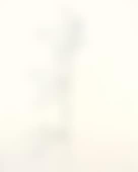 Forsythia (preview)