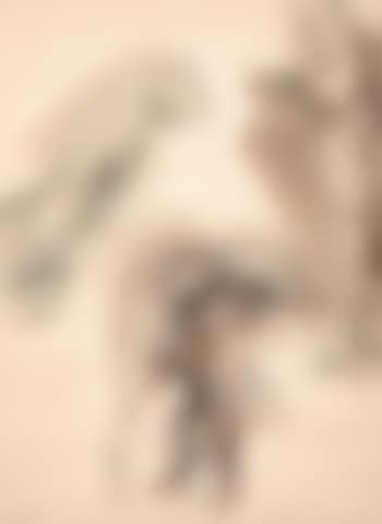 Male anatomical studies (preview)