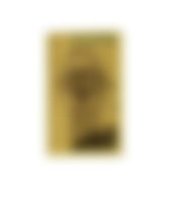 Untitled (Study of head) (preview)