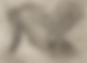 Formes (preview)