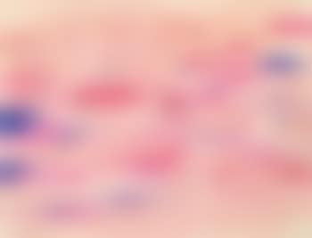 Hommage a Monet (preview)