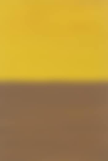 Ohne Titel (Orange-Braun) (preview)