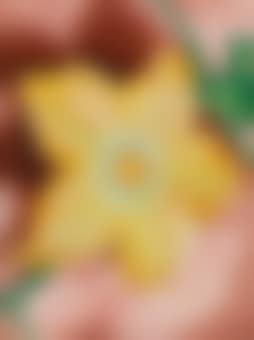 Squash Blossom (preview)