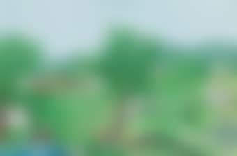 The Gate (preview)