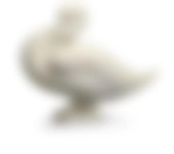 Duck (preview)