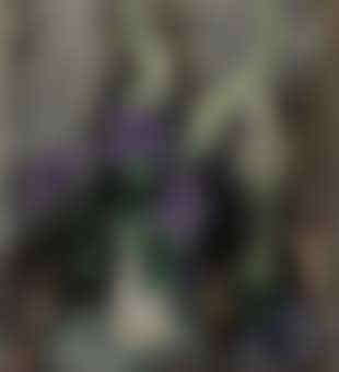 A Still Life with a Purple Clematis (preview)