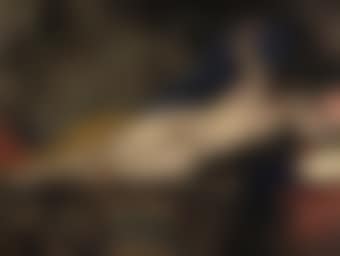 Naakt op Divan: Nude on a Sofa (preview)