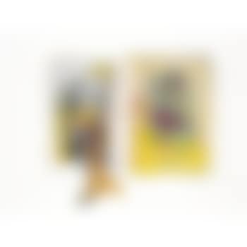 Untitled (With De Kooning) (preview)