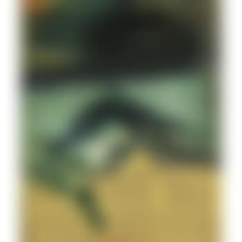 Untitled (preview)