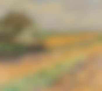 Fruhlingslandschaft bei Wittlaer am Niederrhein (preview)