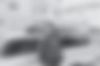 Dennis Hopper (preview)