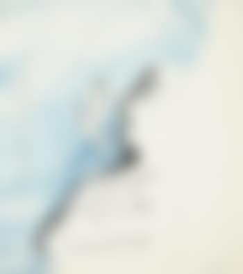 The Runaway Pigeon (preview)