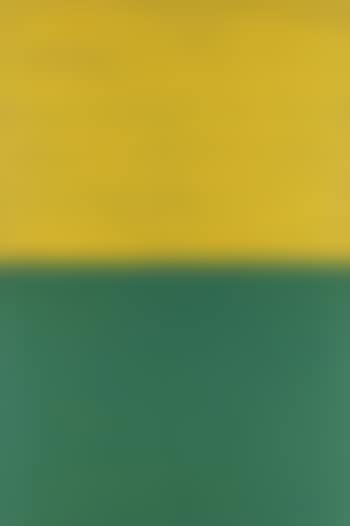 BLEIBILD 21/88 (preview)