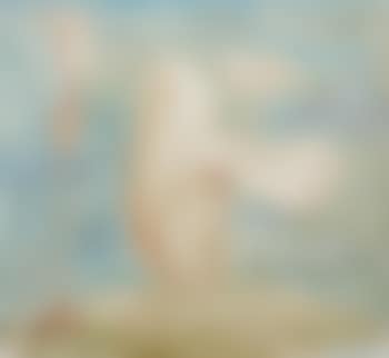 Facial Forms (preview)