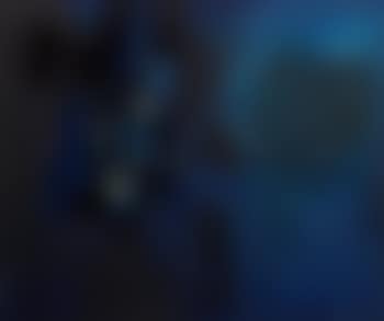 Reflections (preview)