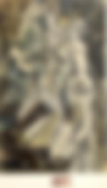 Nu descendant un escalier (preview)