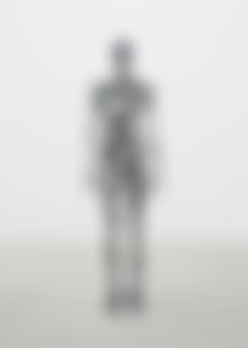 Sublimate II (preview)