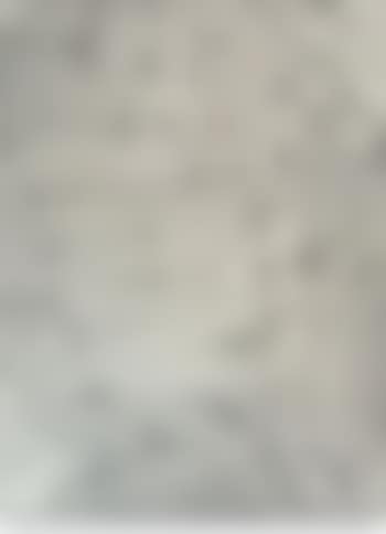 Untitled (P447) (preview)