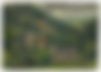 Paysage aux maisons (preview)